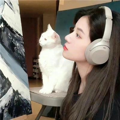 贵妇人